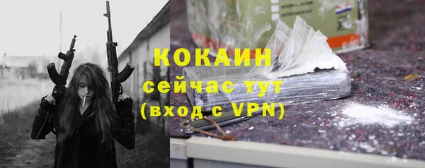 стаф Каменногорск