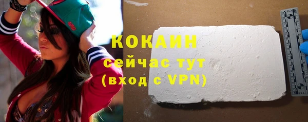 стаф Каменногорск
