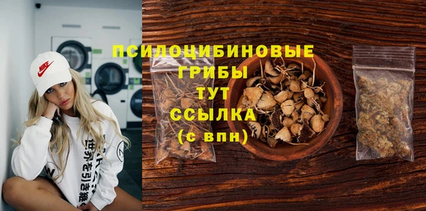 трава Каменка