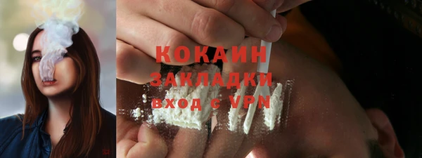 стаф Каменногорск