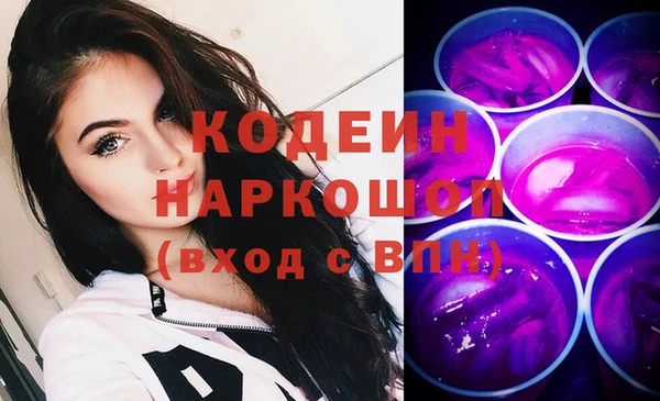 стаф Каменногорск