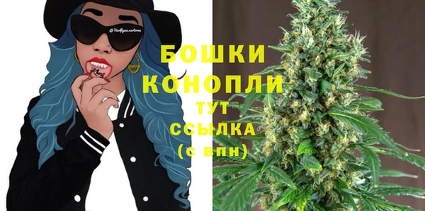стаф Каменногорск